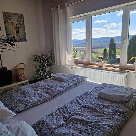 Panorama Apartman Pilisszanto Apartment Bagian luar foto